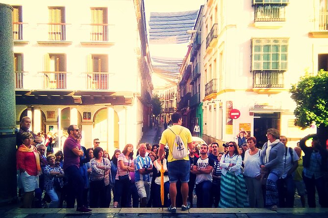 Cultural Walking Tour of Seville Monumental - Meeting at Plaza Nueva: how the tour is organized on the ground