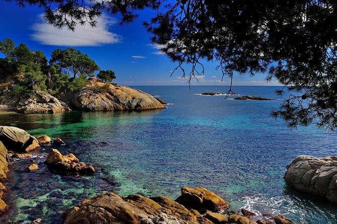 Dali Museum and Costa Brava Small Group Tour - Price and Value for a $120 Day Trip