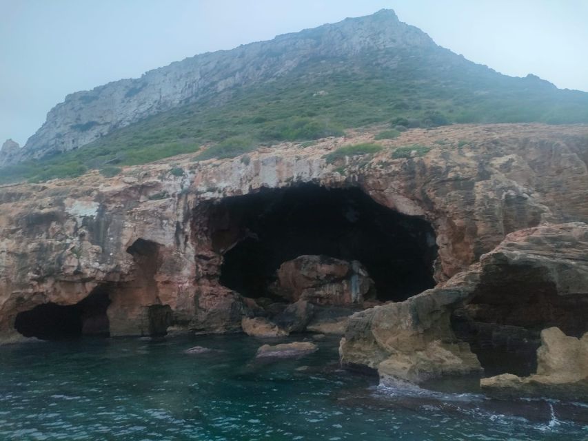 Denia: Cova tallada Catamaran Trip w/ Mussel Tasting & Wine - Mussel tasting and your one included drink