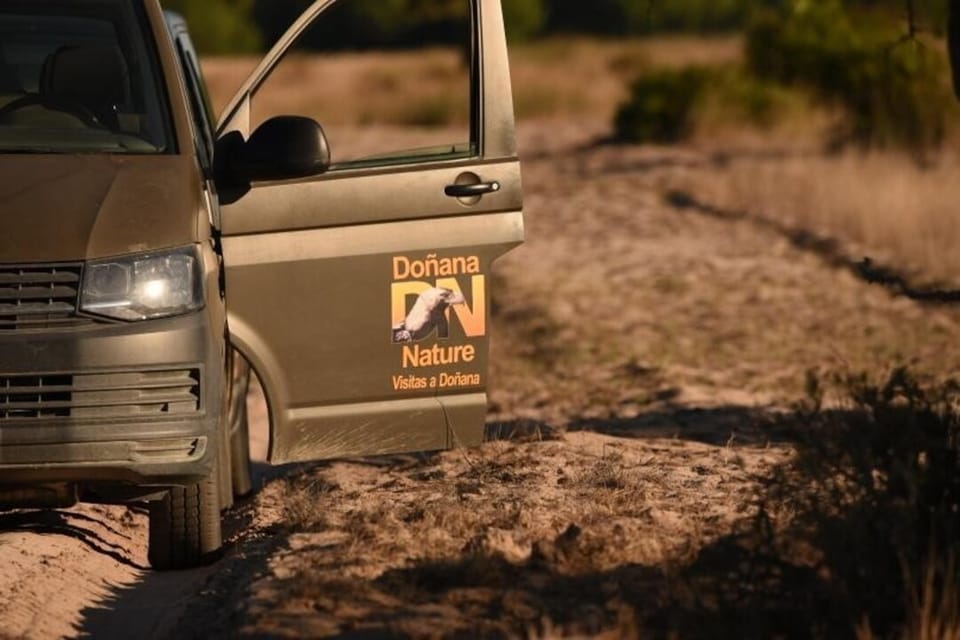 Discover Doñana & Iberian Lynx: Premium Nature Tour - Birdlife and Plant Worlds: Where the Stops Usually Pay Off