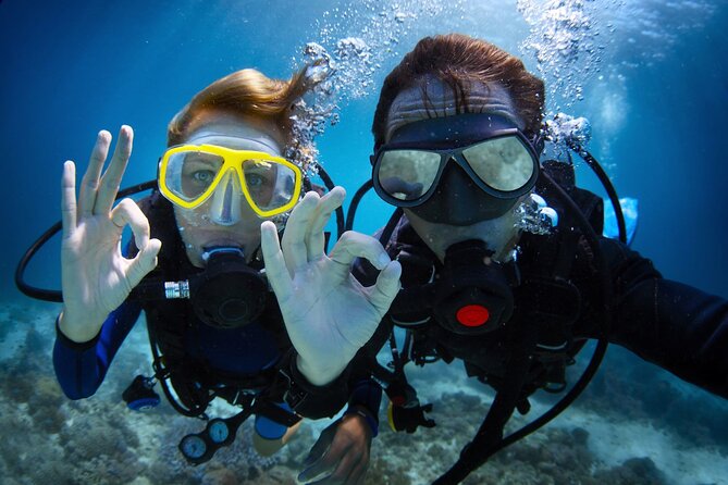 Discover PADI Diving in Barcelona - The Water Session: 30–40 Minutes in a Protected Coastal Area