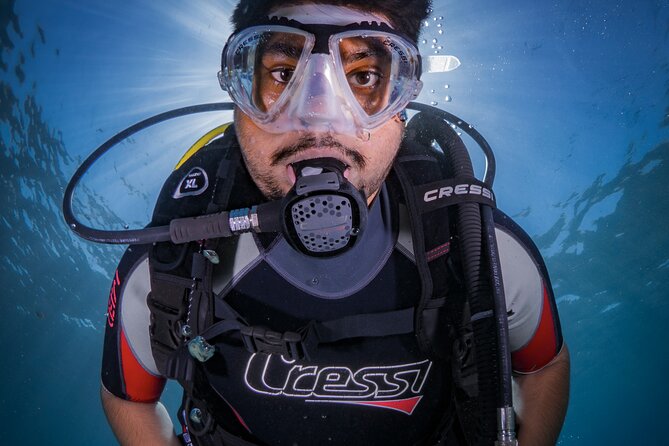Discover PADI Diving in Barcelona - Your First Hour: Gear Basics, Underwater Hand Signals, and Safety