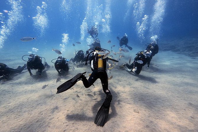 Discover Scuba Diving - Key highlights you’ll actually care about