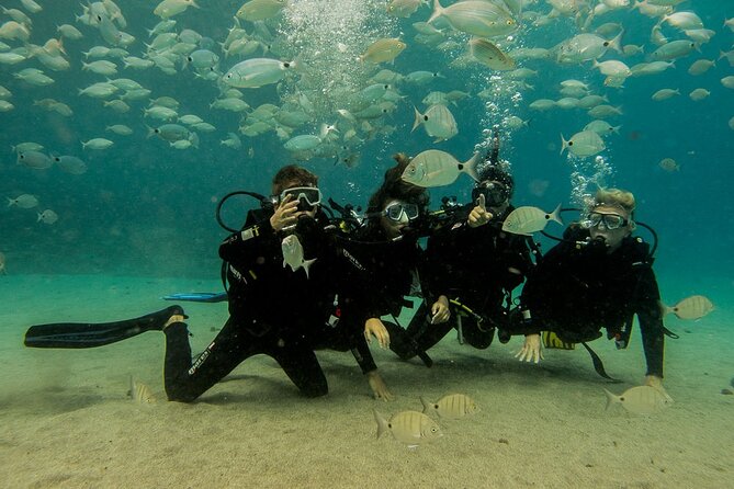 Discover Scuba Diving - Playa Blanca in Lanzarote: why this area works for first-timers