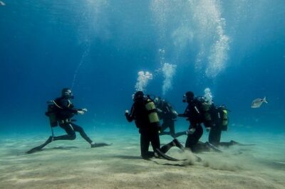 Discover Scuba Diving - The flow of the experience: what happens from check-in to back ashore