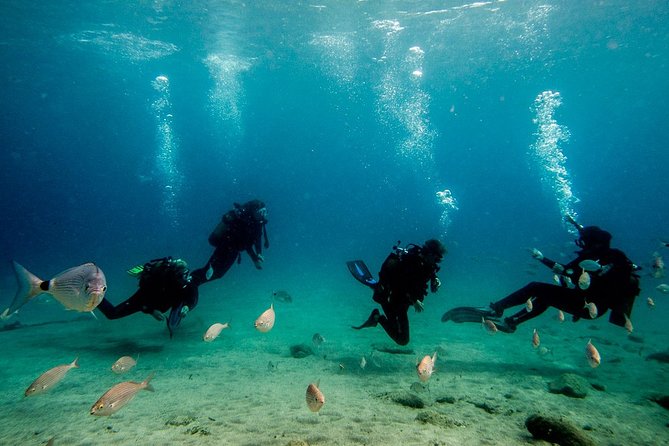 Discover Scuba Diving - PADI credit: how this can fit into a longer scuba plan