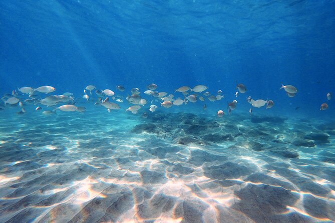 Discover Scuba Diving in Costa Calma - Costa Calma is a smart choice for a first underwater experience