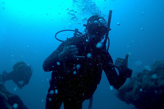 Discover Scuba diving in Gran Canaria with Hotel Pick-up - Hotel pickup and the 8:00 a.m. start that keeps things easy