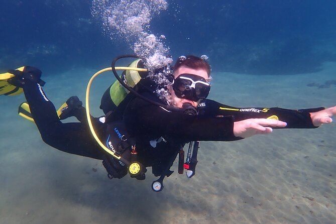 Discover Scuba Diving in Lanzarote (Costa Teguise) - Key highlights before you book