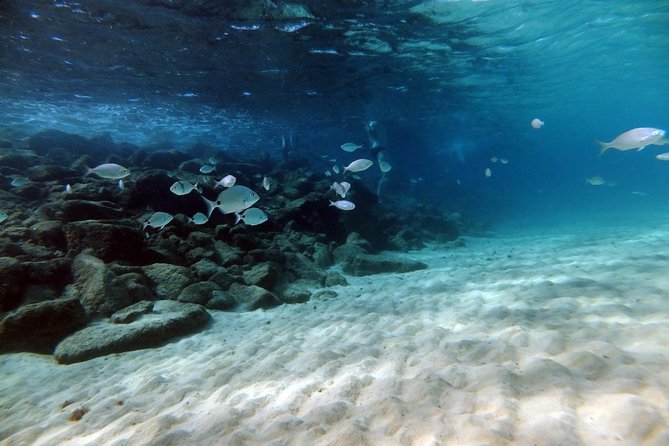 Discover Scuba Diving in Lanzarote (Costa Teguise) - Coaches who explain everything: Goetz and Liam’s teaching style