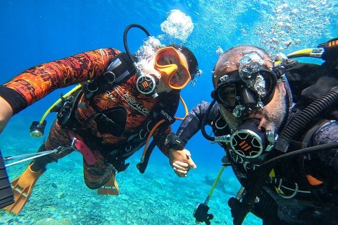 Discover Scuba Diving in Tenerife - Meet at Calle 10 de Agosto: the part most people forget