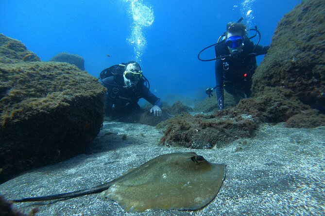 Discover Scuba Diving in Tenerife - Your underwater media: photos and videos along the way