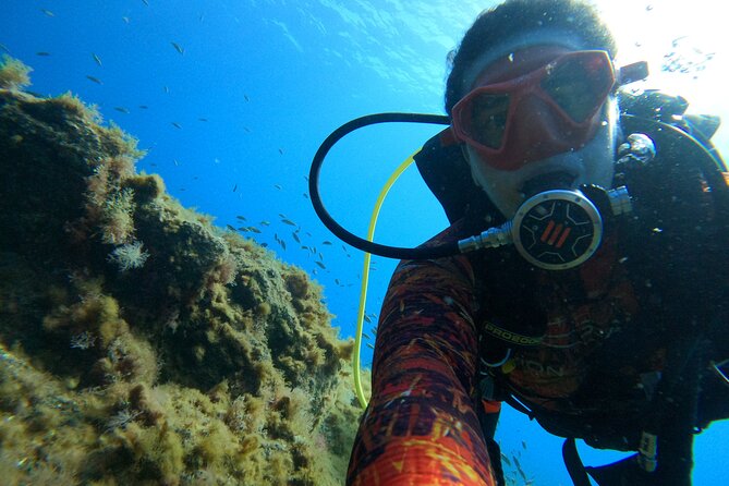 Discover Scuba Diving in Tenerife - Price and logistics: is $78.64 a good deal?