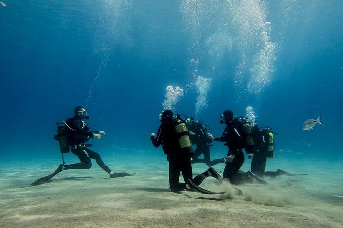 Discover Scuba Diving - The flow of the experience: what happens from check-in to back ashore
