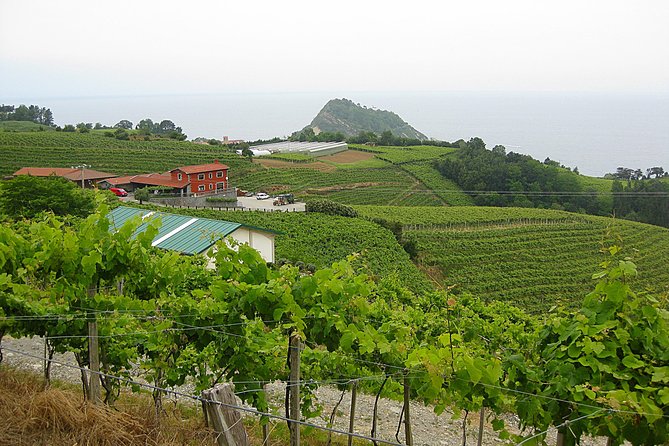 Discover the Essence of Txakoli Wine from San Sebastian - Setting Off From San Sebastián: Why This Tour Works