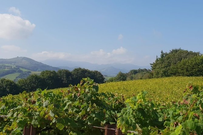 Discover the Essence of Txakoli Wine from San Sebastian - Txakoli Tasting + Traditional Snacks: How Much Food to Expect