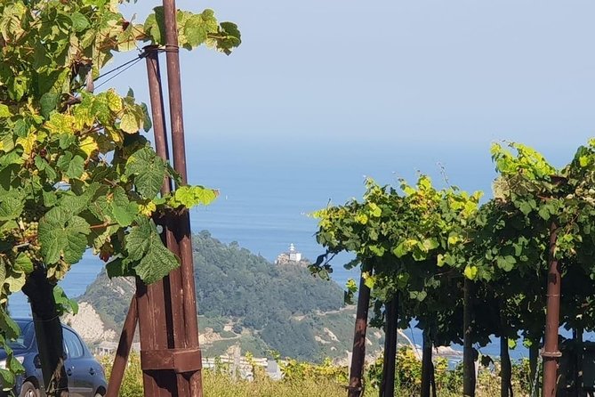 Discover the Essence of Txakoli Wine from San Sebastian - Price and Value: Is $175.36 Worth It?