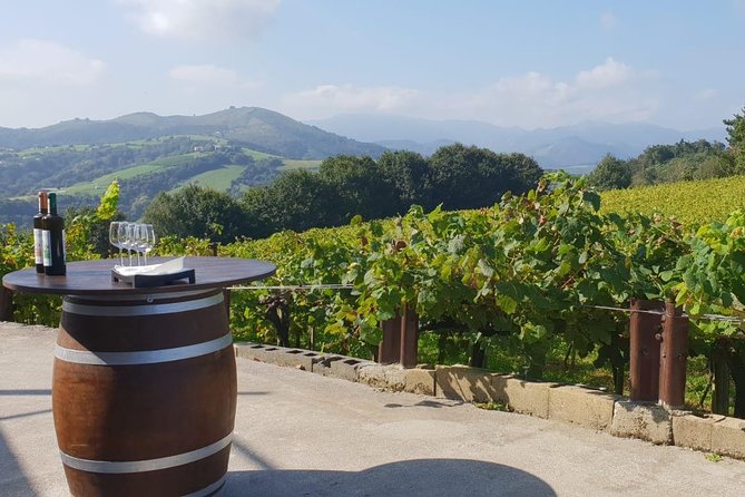Discover the Essence of Txakoli Wine from San Sebastian - Who Should Book This Txakoli Tour?