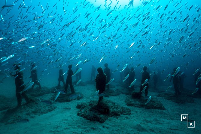Discover the underwater world of Lanzarote - Key things that make this Lanzarote taster special