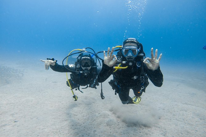 Discover the underwater world of Lanzarote - Gear, photos, and why included memories matter