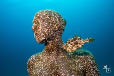 Discover the underwater world of Lanzarote - The 2.5–3 hour flow: theory, equipment, and your supervised entry