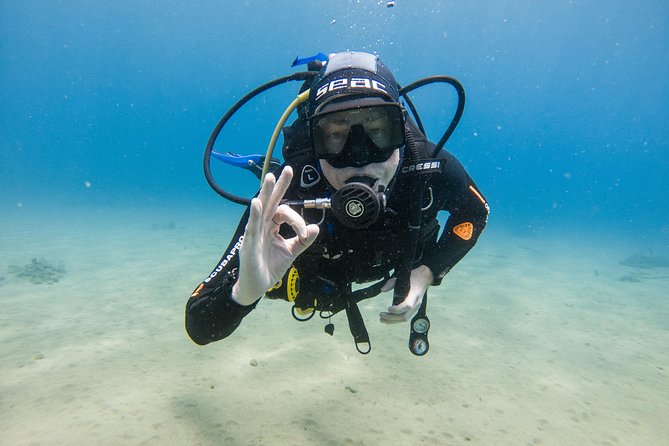 Discover the underwater world of Lanzarote - Who this taster works for (and who should think twice)
