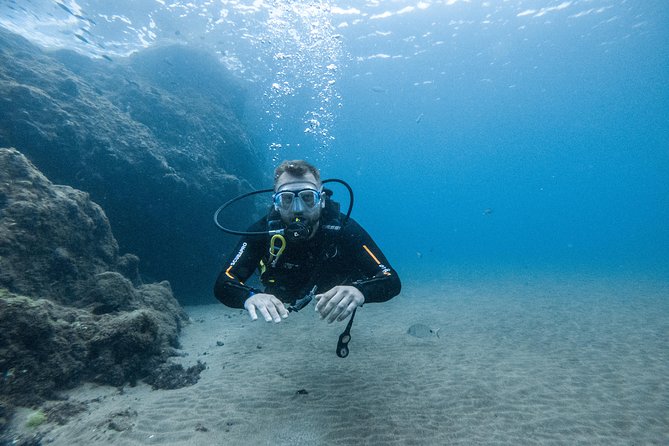 Discover the underwater world of Lanzarote - Price and value: what you’re getting for $156.01