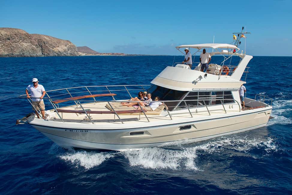 Discover whales in Tenerife: exclusive yacht tour with swim and lunch - Key things to know before you book