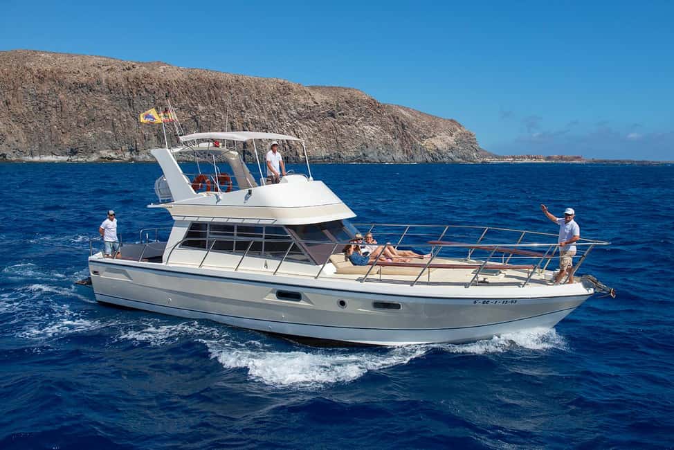 Discover whales in Tenerife: exclusive yacht tour with swim and lunch - Why the Neptune yacht feels different from big whale boats