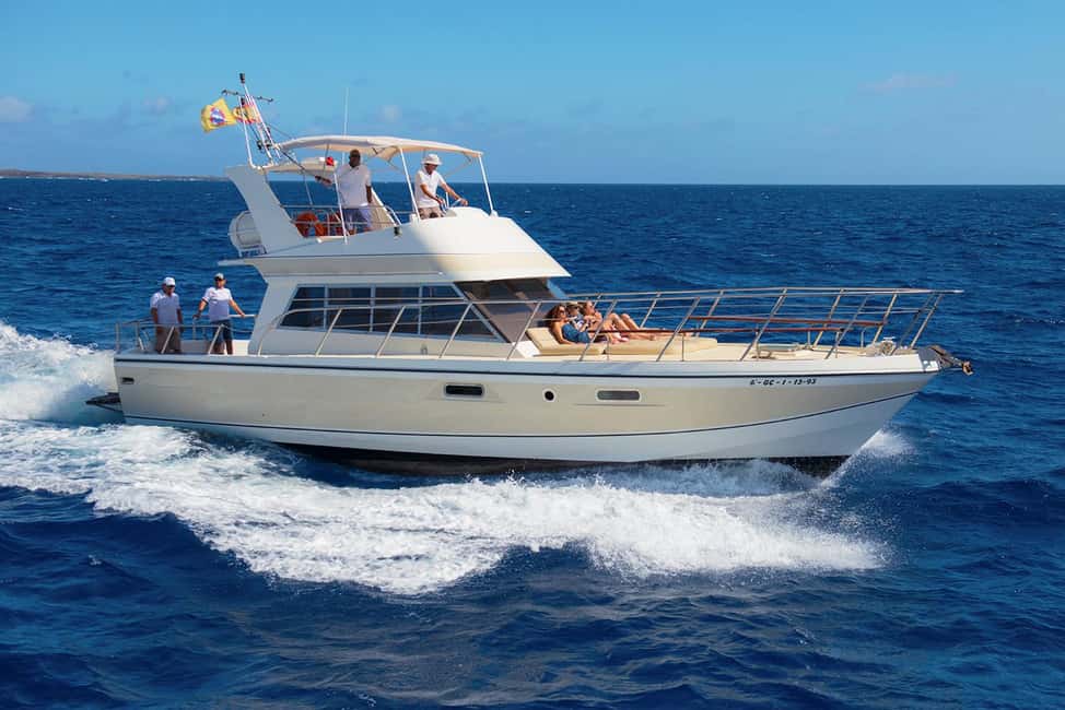 Discover whales in Tenerife: exclusive yacht tour with swim and lunch - The “getting there” part: meeting point and pickup logic