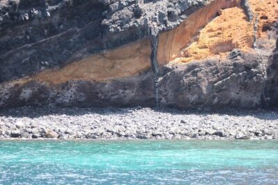 Dolphin and Whale Sailing Tour in Los Gigantes - Wildlife odds: dolphins, pilot whales, turtles, and the surprise factor