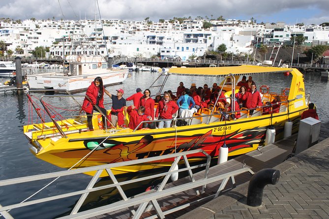 Dolphin Mini Cruise at Playa del Carmen - What This Dolphin Mini Cruise Really Promises