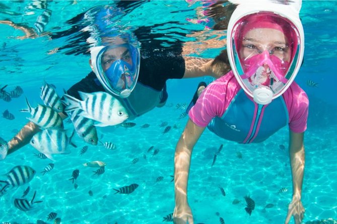 Dolphin Mini Cruise at Playa del Carmen - Booking Timing and What to Expect Day-Of