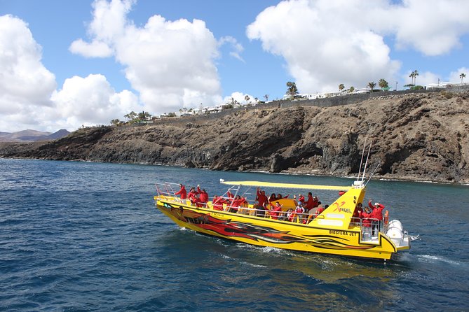 Dolphin Mini Cruise at Playa del Carmen - The West Coast Views: Lanzarote From a New Angle