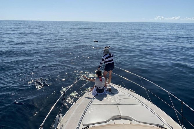 Dolphin Searching Tour in Puerto de Mogán ("KEEPER UNO" Boat) - What’s included in the 4 hours: lunch, drinks, and actual time on the water