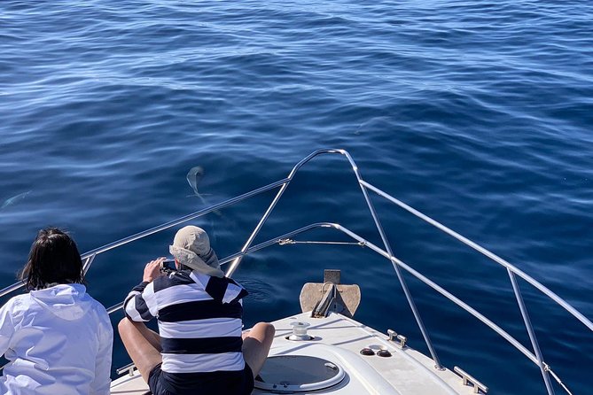 Dolphin Searching Tour in Puerto de Mogán ("KEEPER UNO" Boat) - Lunch on the Keeper Uno: simple, filling, and timed to keep the day smooth