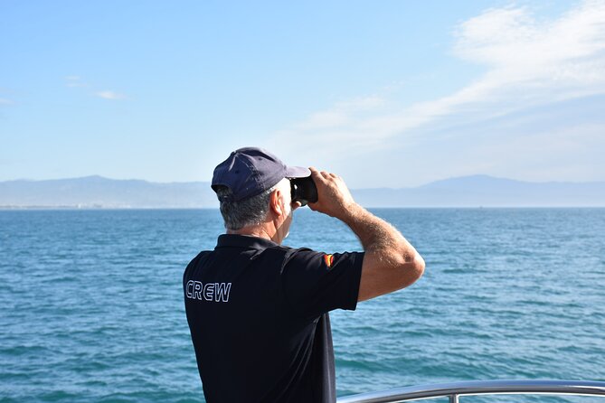 Dolphin Sightseeing Boat Tour from Benalmadena - Why This Benalmádena Dolphin Cruise Is Such a Good Value