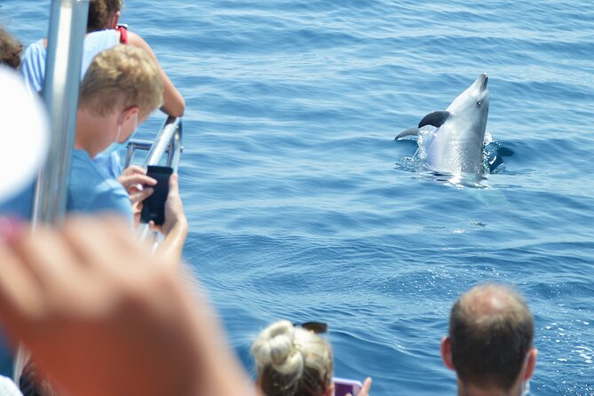 Dolphin Sightseeing Boat Tour from Benalmadena - Dolphins in the Alboran Sea: What You Can Control and What You Cannot