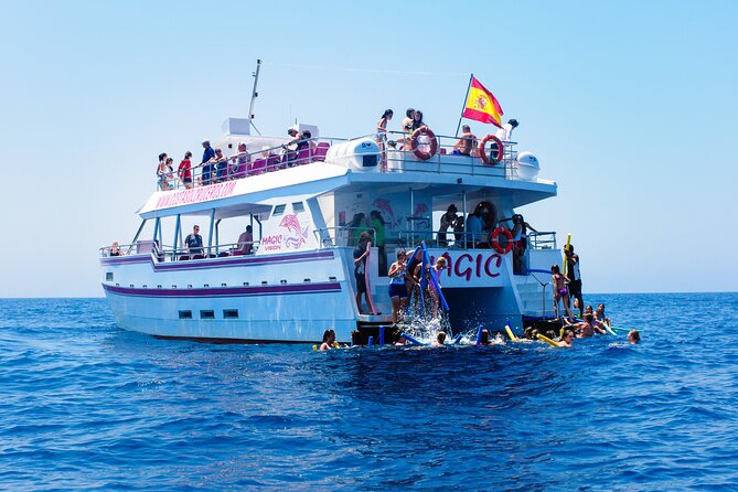 Dolphin Sightseeing Boat Tour from Benalmadena - Should You Book This Benalmádena Dolphin Boat Tour?