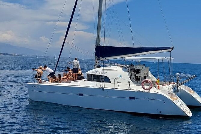 Dolphin trips on a catamaran - What You’re Actually Buying on This Dolphin Catamaran