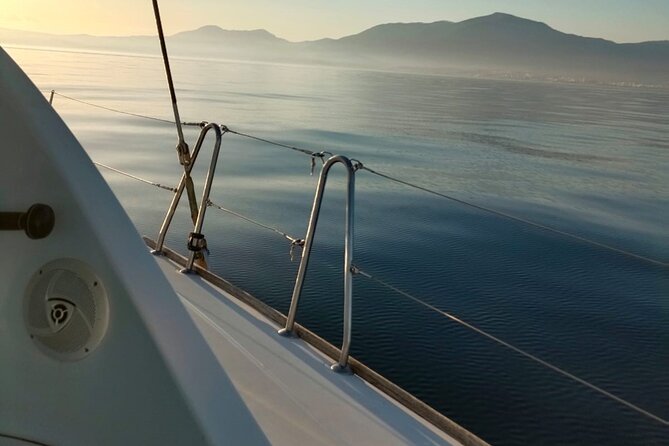 Dolphin trips on a catamaran - Price and Time: Is $42.33 for 2 Hours a Good Deal?