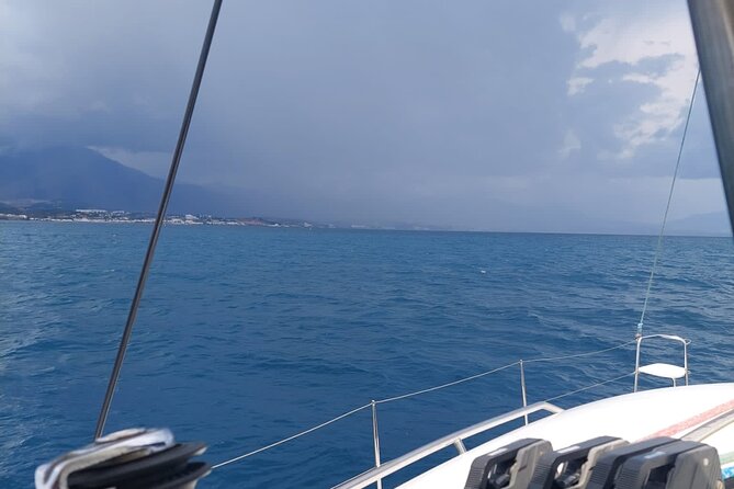 Dolphin trips on a catamaran - Sailing vs Engine: What Wind Changes on Your Catamaran