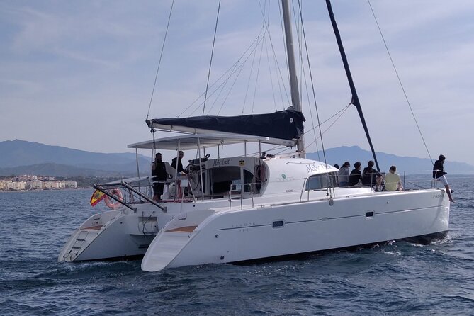 Dolphin trips on a catamaran - Weather Reality Check: Cancellations and Day-of Conditions
