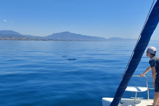 Dolphin trips on a catamaran - Boarding at Mobydick Estepona: Location and First Impressions