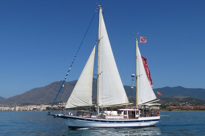Dolphin Watching Adventure in Estepona Bay - Price and Value: Is $42.33 Worth It?