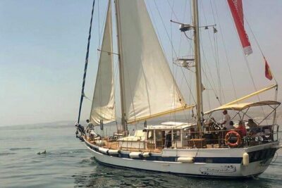 Dolphin Watching Adventure in Estepona Bay - Meet Velero Intrepido at the Estepona Marina (Easy to Find)
