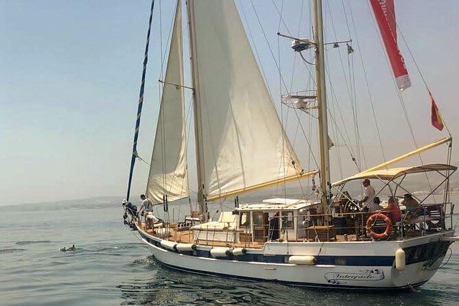 Dolphin Watching Adventure in Estepona Bay - Meet Velero Intrepido at the Estepona Marina (Easy to Find)