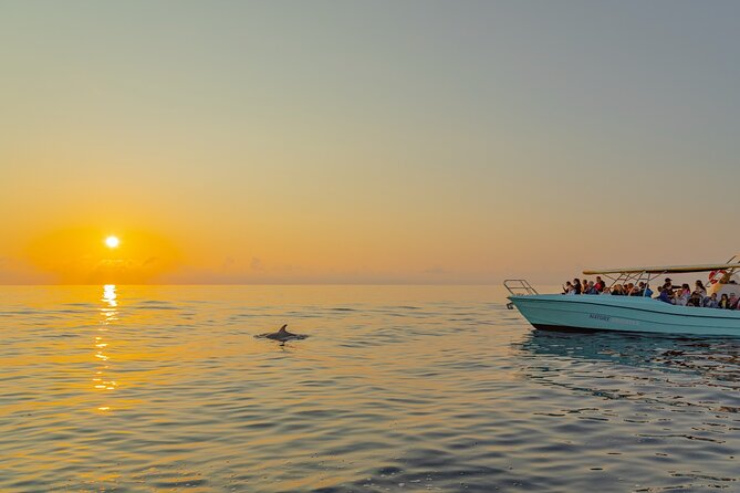 Dolphin watching by boat - Cap de Formentor excursion: what the boat time actually looks like