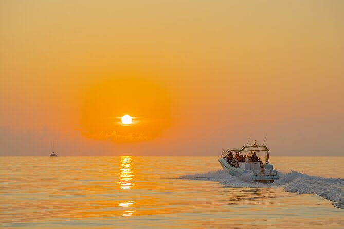 Dolphin watching by boat - Dolphin-watching expectations: how to get good viewing