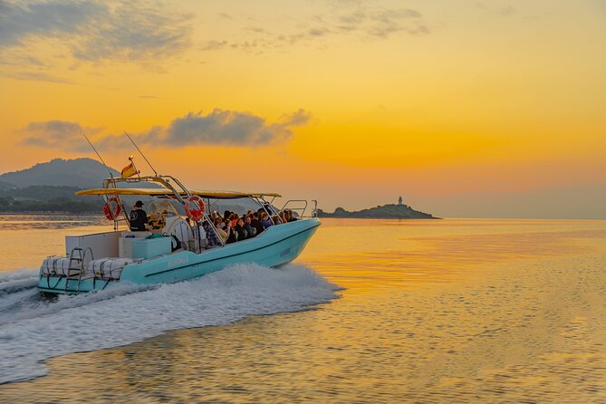 Dolphin watching by boat - Who should book this Mallorca dolphin boat trip?